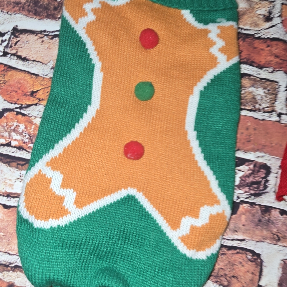 Festive Green and Orange Dog Sweater